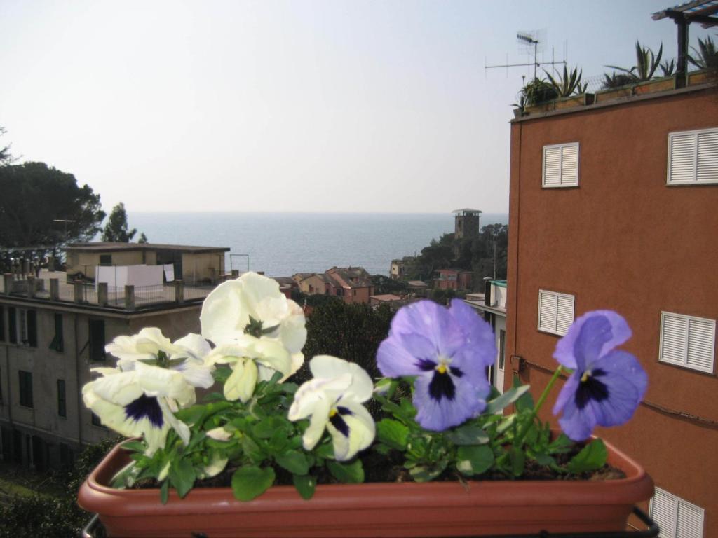 Villa Cristina Monterosso al Mare Bagian luar foto